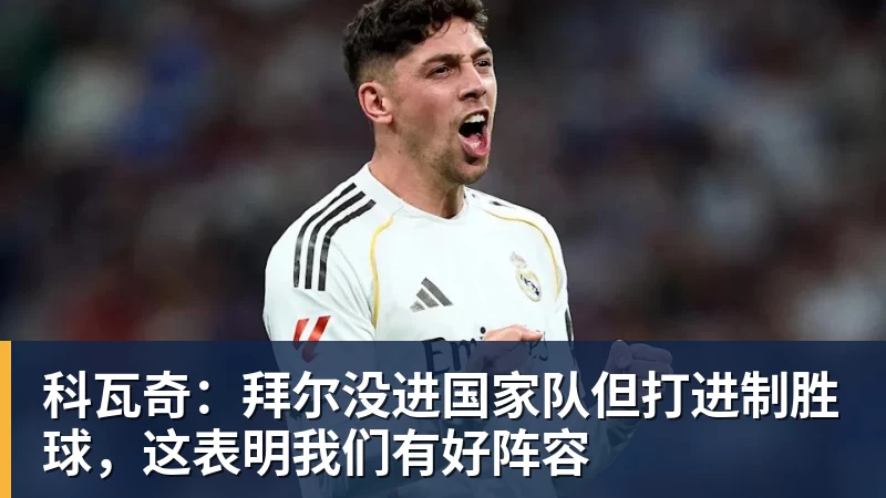 科瓦奇：拜尔没进国家队但打进制胜球，这表明我们有好阵容