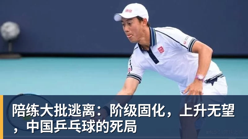 陪练大批逃离：阶级固化，上升无望，中国乒乓球的死局